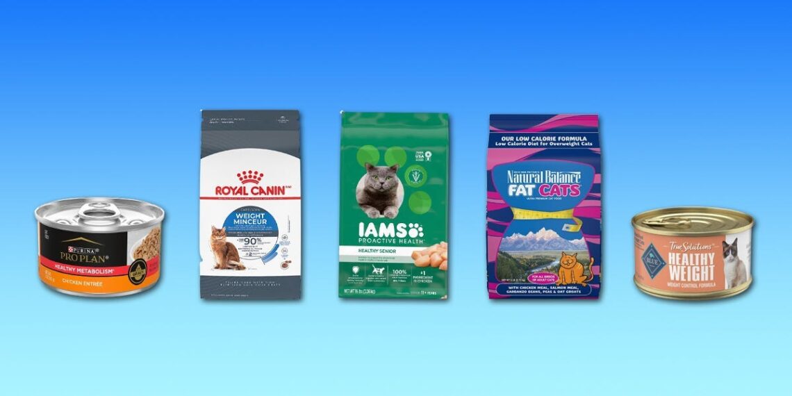 The 14 Best Cat Foods for Weight Loss in 2023