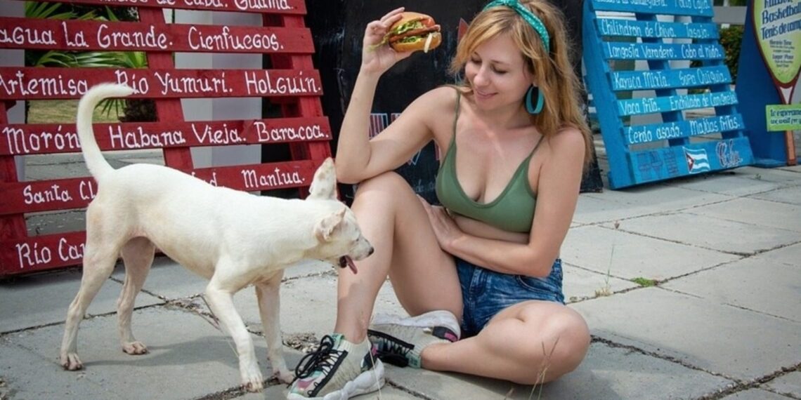 5 food items you should avoid feeding a street dog