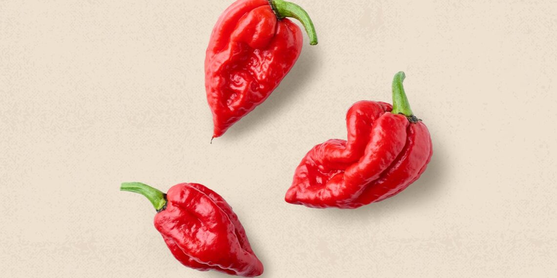 The Health Effects of Spicy Foods: Benefits and Risks