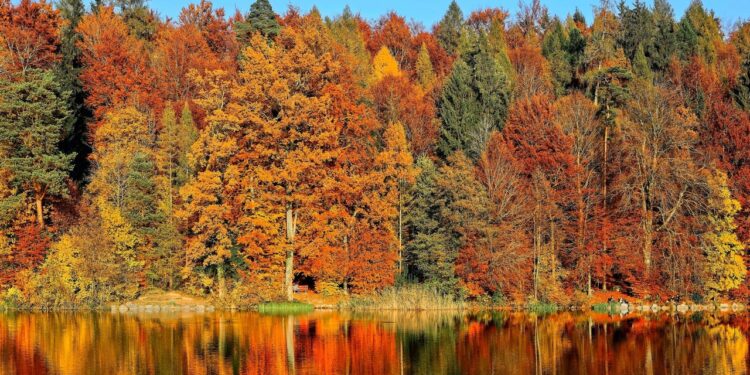 Architectural Digest México y Latinoamérica