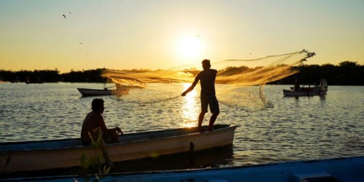 Dicen adiós a la pesca... A 15 días de inicio de capturas