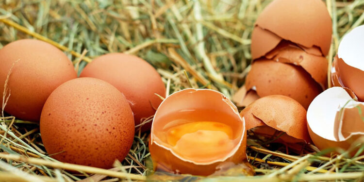Jollibee Foods Corporation to transition to only cage-free eggs