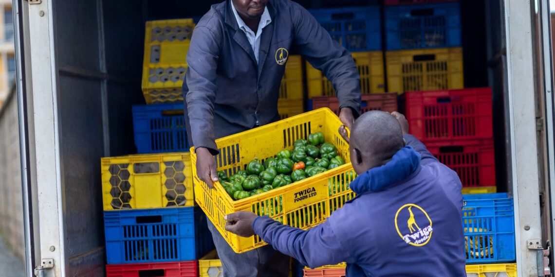Twiga Foods in $263k debt