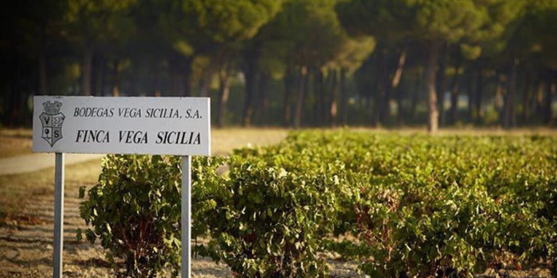 20.000 km con un Vega Sicilia en la maleta