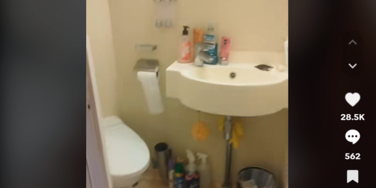 Una trabajadora de cruceros desvela el problema del agua de las duchas que pocos conocen