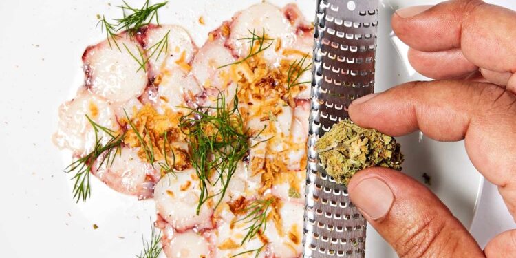 10 Things You Should Know About Cannabis-Infused Foods