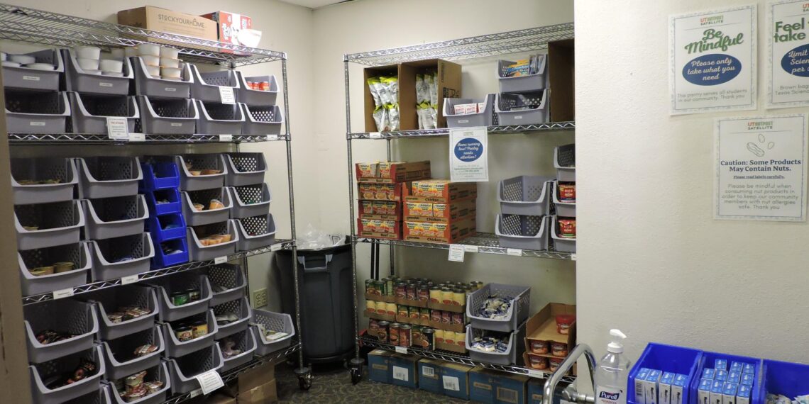 UT Student Government launches new agency to lessen student stress of food insecurity – The Daily Texan