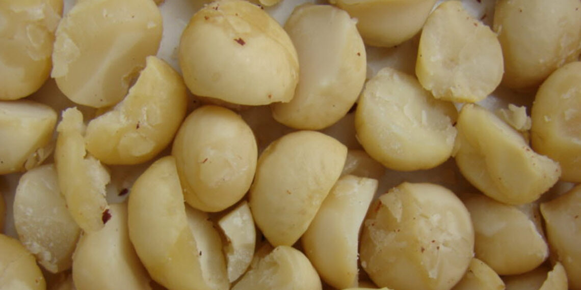 7 Foods You Should Never Feed To Your Dog