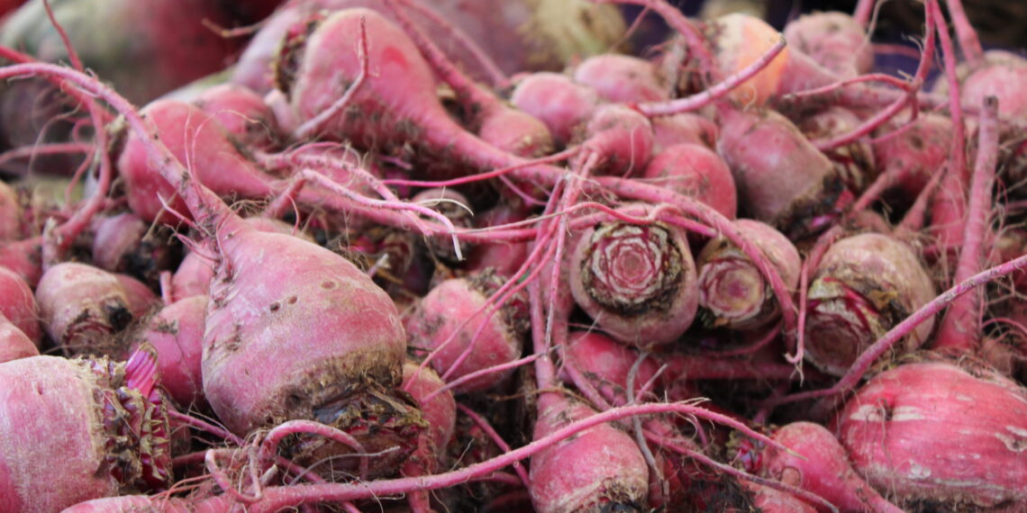 As consumers flock to organic foods, lawmakers urge more federal grants for farmers – Oregon Capital Chronicle
