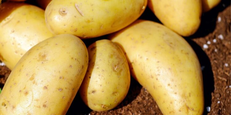 Lamb Weston Acquires Crackerjack Foods