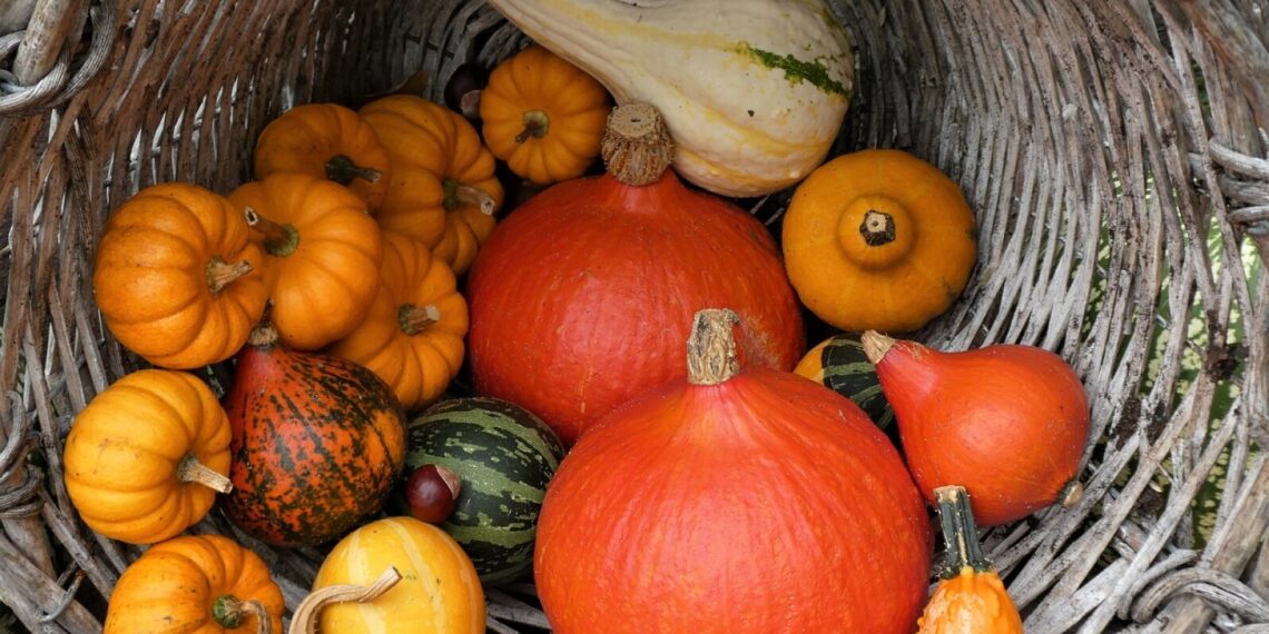 Nourish your body and mind with fall foods and a new class series - Agweek