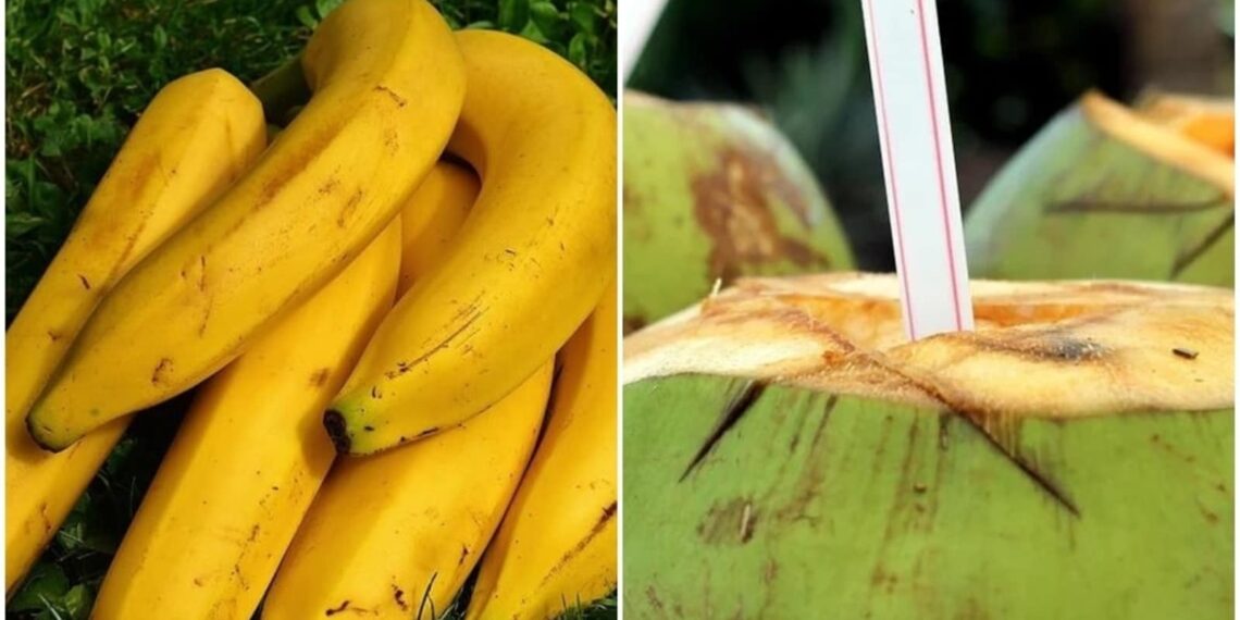 Foods that you should not consume if you have kidney-related issues | Health