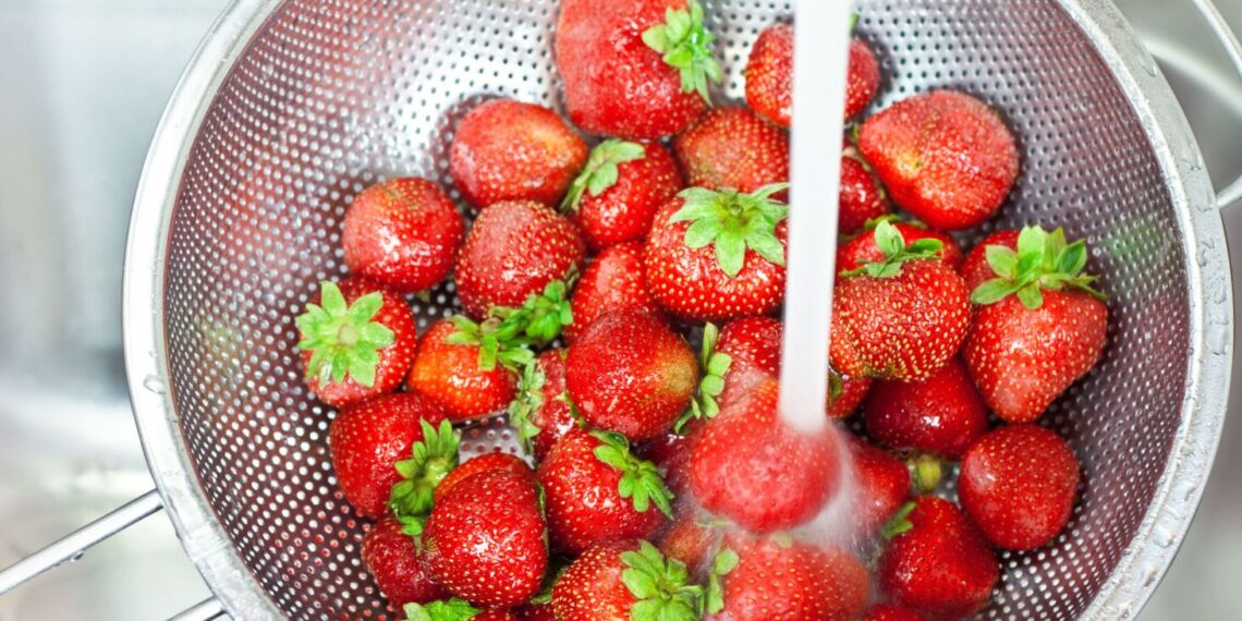 What superfoods increase longevity? Foods for a long, healthy life.