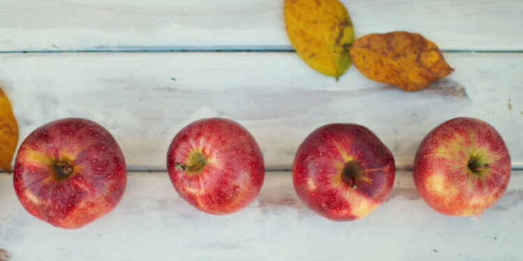 Convincing consumers to love ‘imperfect’ foods with new USDA grant