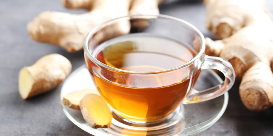 Eat These Foods This Fall For Healthier Gut, Brain & Immunity