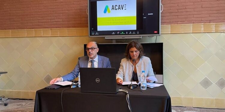 El 50% de agencias de viaje españolas aumentó las ventas hasta un 15% en verano