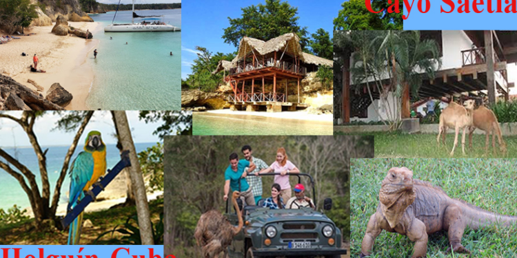 Radio Habana Cuba | De paso por cayo Saetía (+Fotos)