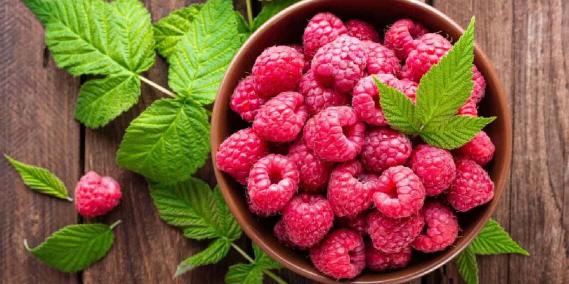 5 fibre rich foods other than apple