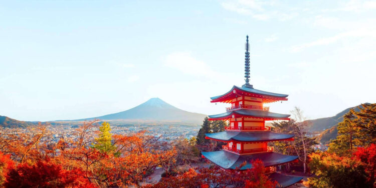 ¿Cómo encontrar los mejores viajes para 2024 en un crucero premium con guía en español?