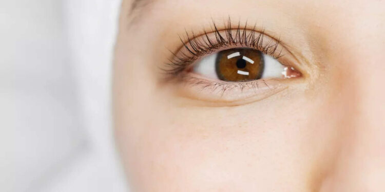 World Sight Day 2023: 5 foods that help improve eyesight