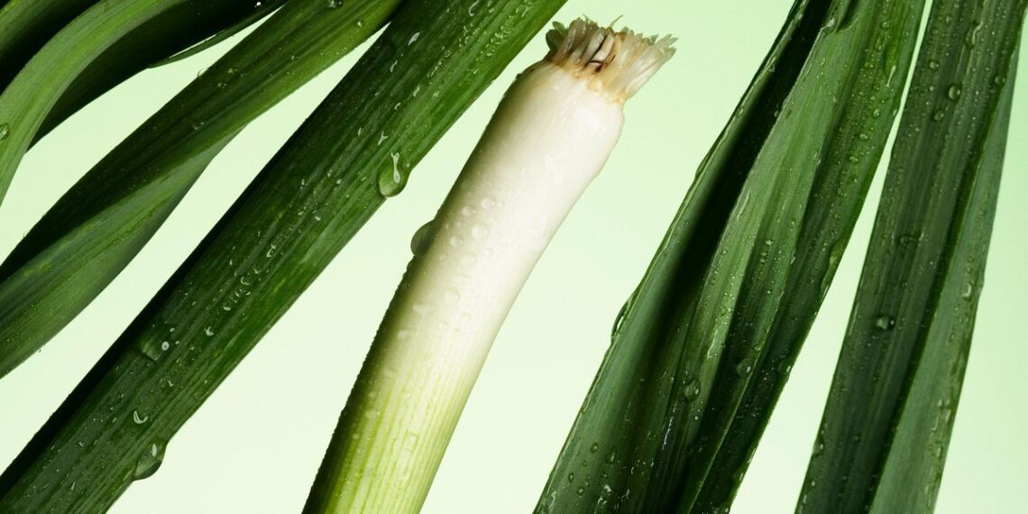 Dan Barber’s Sweet Garleek Available at Whole Foods
