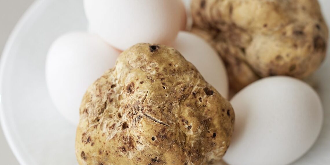 Where to savour white truffles in Tokyo, Japan