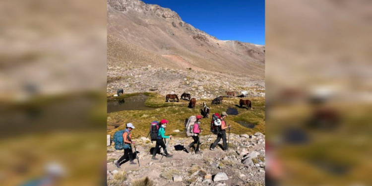 los arreos de la trashumancia