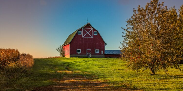 Entre una lista de lugares exóticos, Lonely Planet nombra al “Medio Oeste” como el mejor destino de viaje para 2024 – Telemundo Chicago