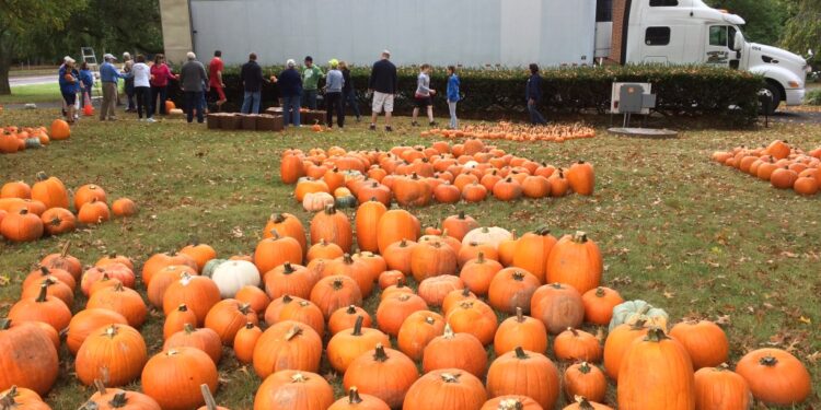 Yardley Methodist’s Pumpkin Patch receives food donations for Penndel Food Pantry