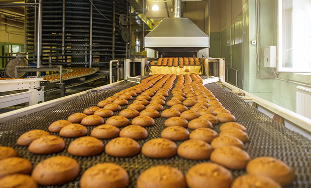 Photo of a batch of cookies being produced at a factory.