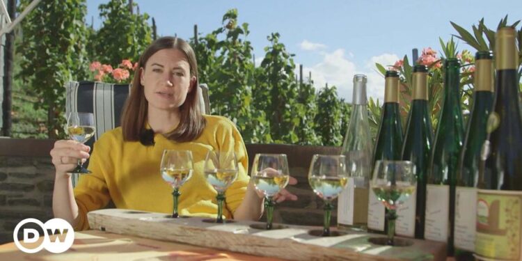 el oeste del país – DW – 28/10/2023