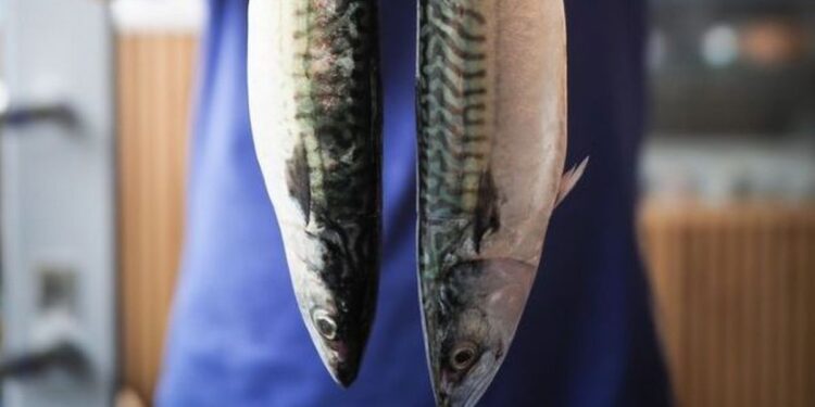 Cambridge restaurant the Good Food Guide loves for its 'impeccably sourced fish'