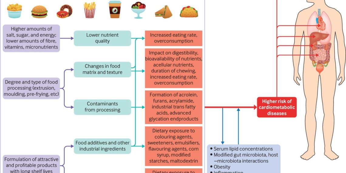 Time to inform the public about the adverse effects of ultra-processed foods, researchers say