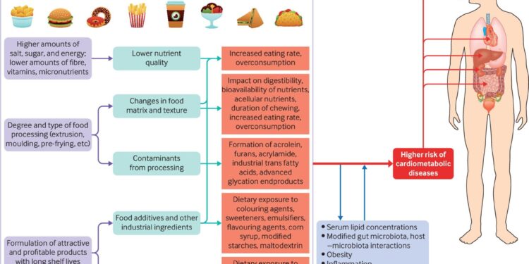 Time to inform the public about the adverse effects of ultra-processed foods, researchers say