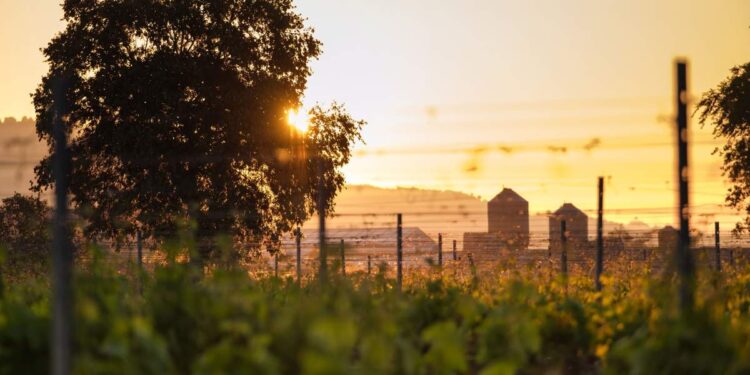diez planes más allá del vino