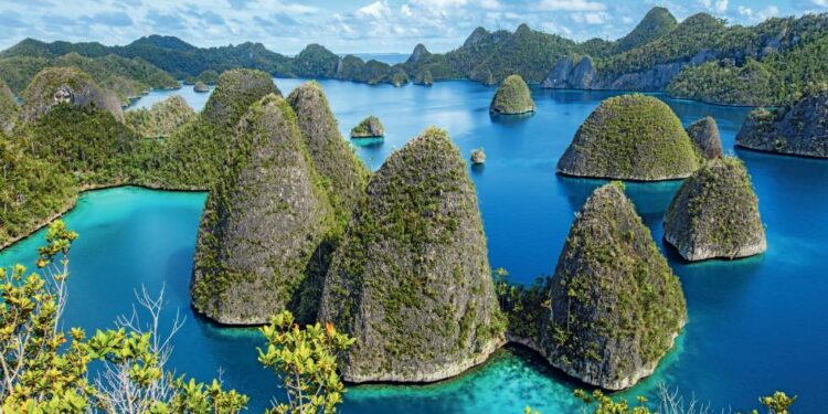 Viajes GentlemanSubtítulo