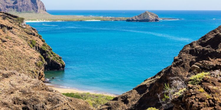 Viajes de Ciencia - Los pinzones en las islas Galápagos: el laboratorio vivo de la evolución en la Tierra