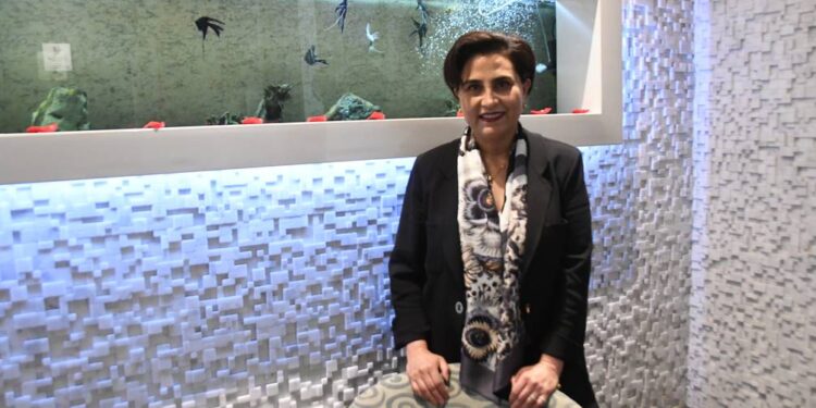 Gabriela Sommerfeld, empresaria turística y de la construcción, convencida del cuidado del ambiente, ocuparía la Cancillería | Economía | Noticias