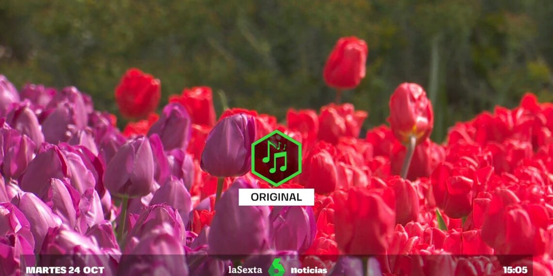 Así sonarían 'Las Cuatro Estaciones' si Vivaldi las compusiera hoy