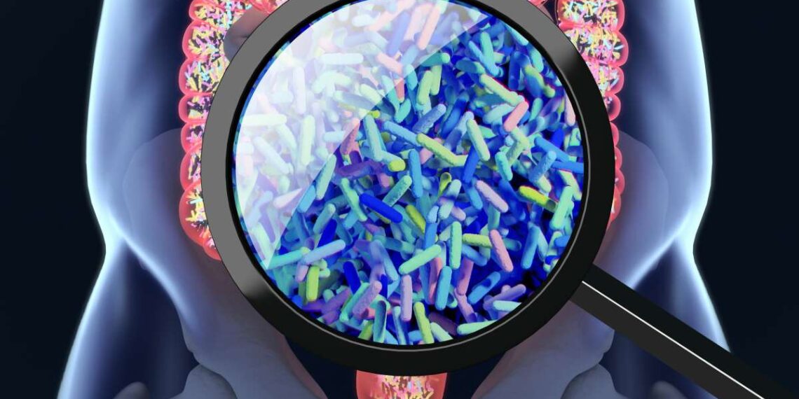 Discrimination alters brain-gut ‘crosstalk,’ prompting poor food choices and increased health risks - Gupta Lab