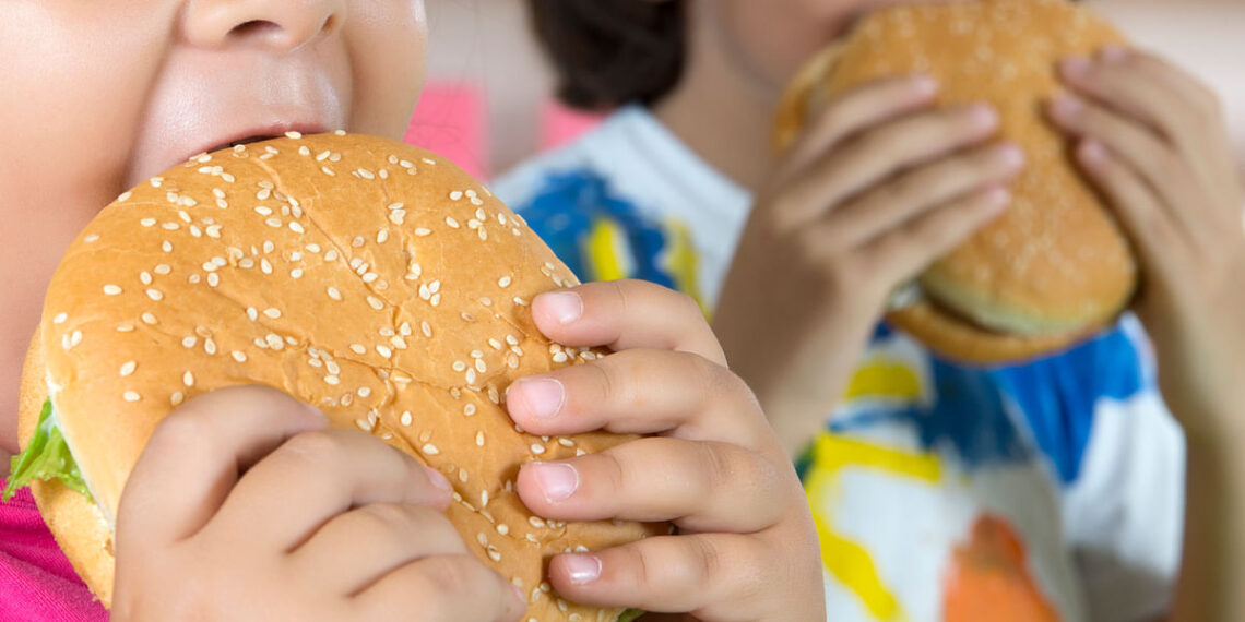 Age of junk food: Children grapple with obesity