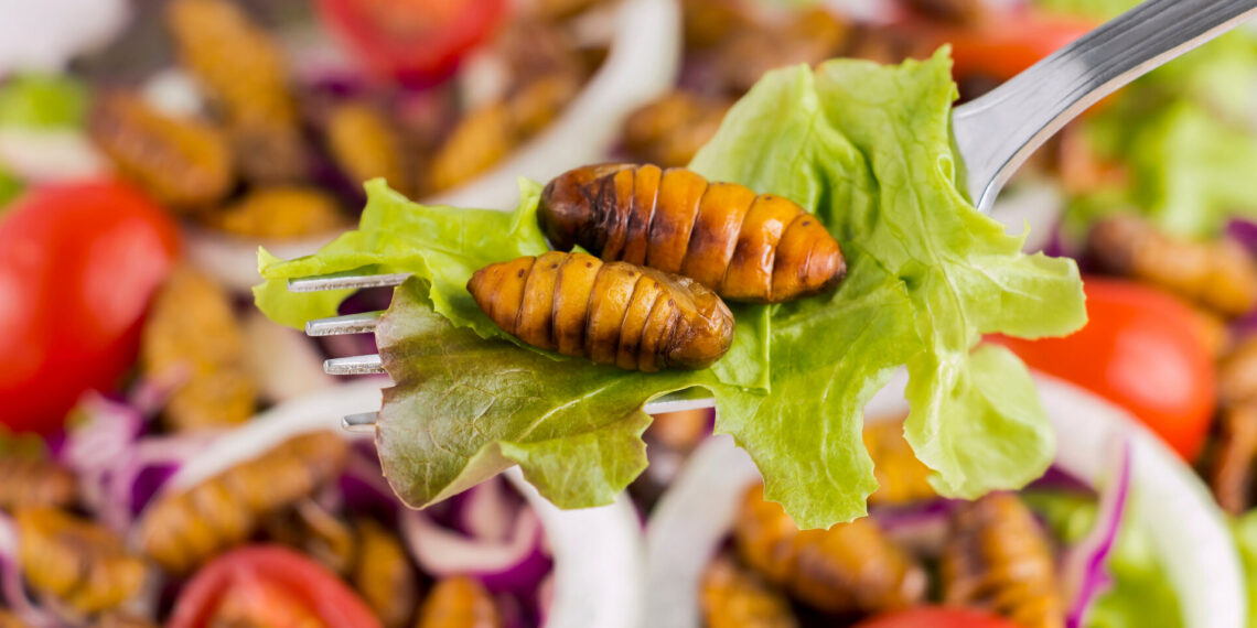 New foods can go from yucky to yummy as people's perceptions evolve
