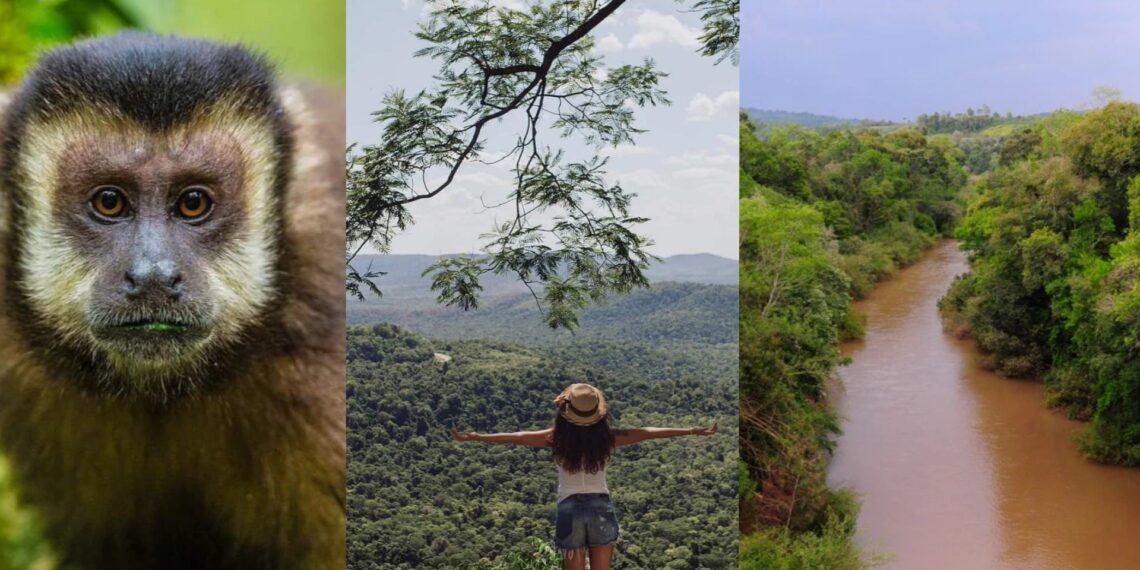 El turismo sustentable, fundamental para la conservación de los recursos naturales