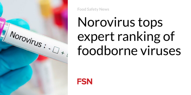 Norovirus tops expert ranking of foodborne viruses