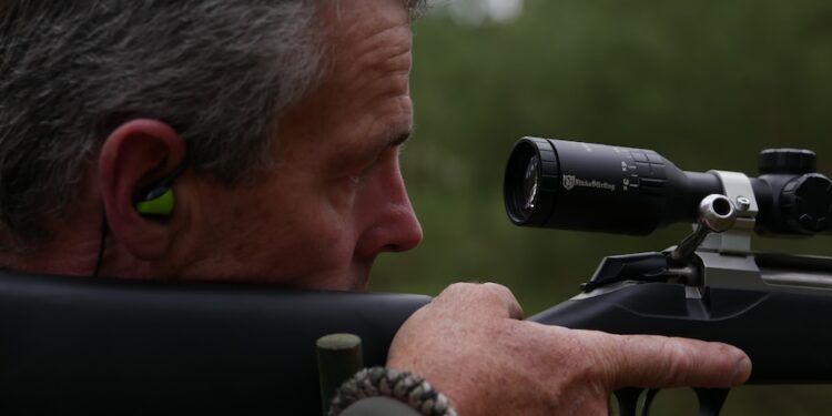 Feral deer, pigs populate Victoria's Otways with eradication a long, laborious journey