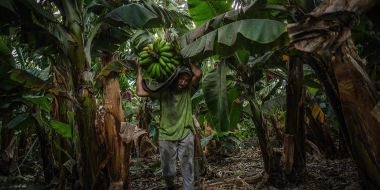 CANARIAS | Una potencia turística con sensibilidad ‘verde’