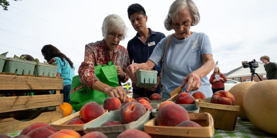 People selecting fresh produce at a farmers market.