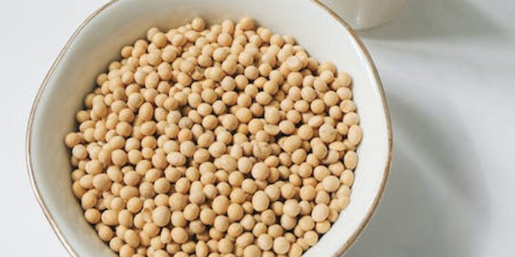 5 Best Protein-Rich Vegetarian Foods To Fuel Your Weight Loss Journey