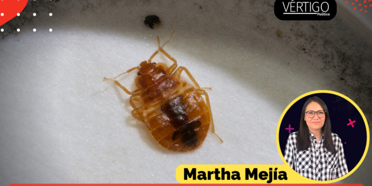 CHINCHES, UNA PLAGA COSMOPOLITA