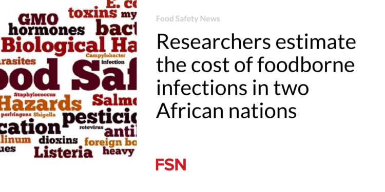 Researchers estimate the cost of foodborne infections in two African nations